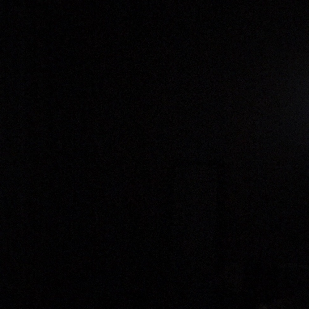 Meet your Posher, Rose